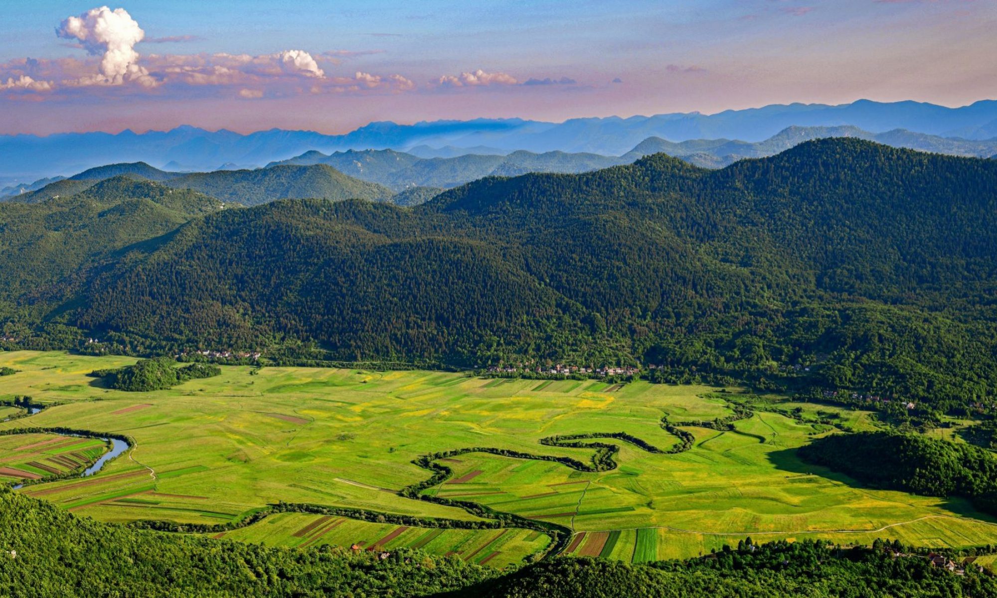 Landscape in Education and Education in the Landscape