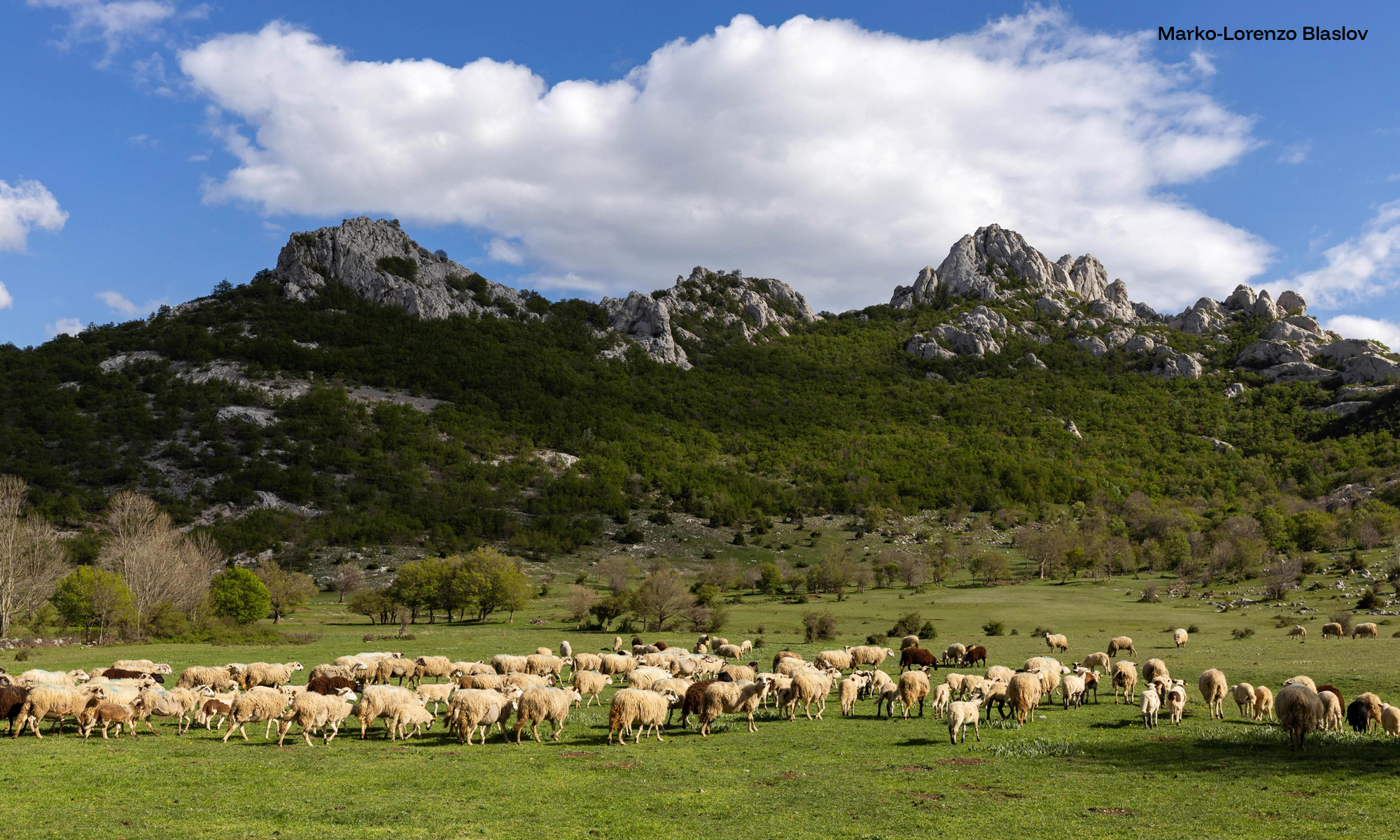 2nd Conference on the Emergence of the Neolithic in Europe