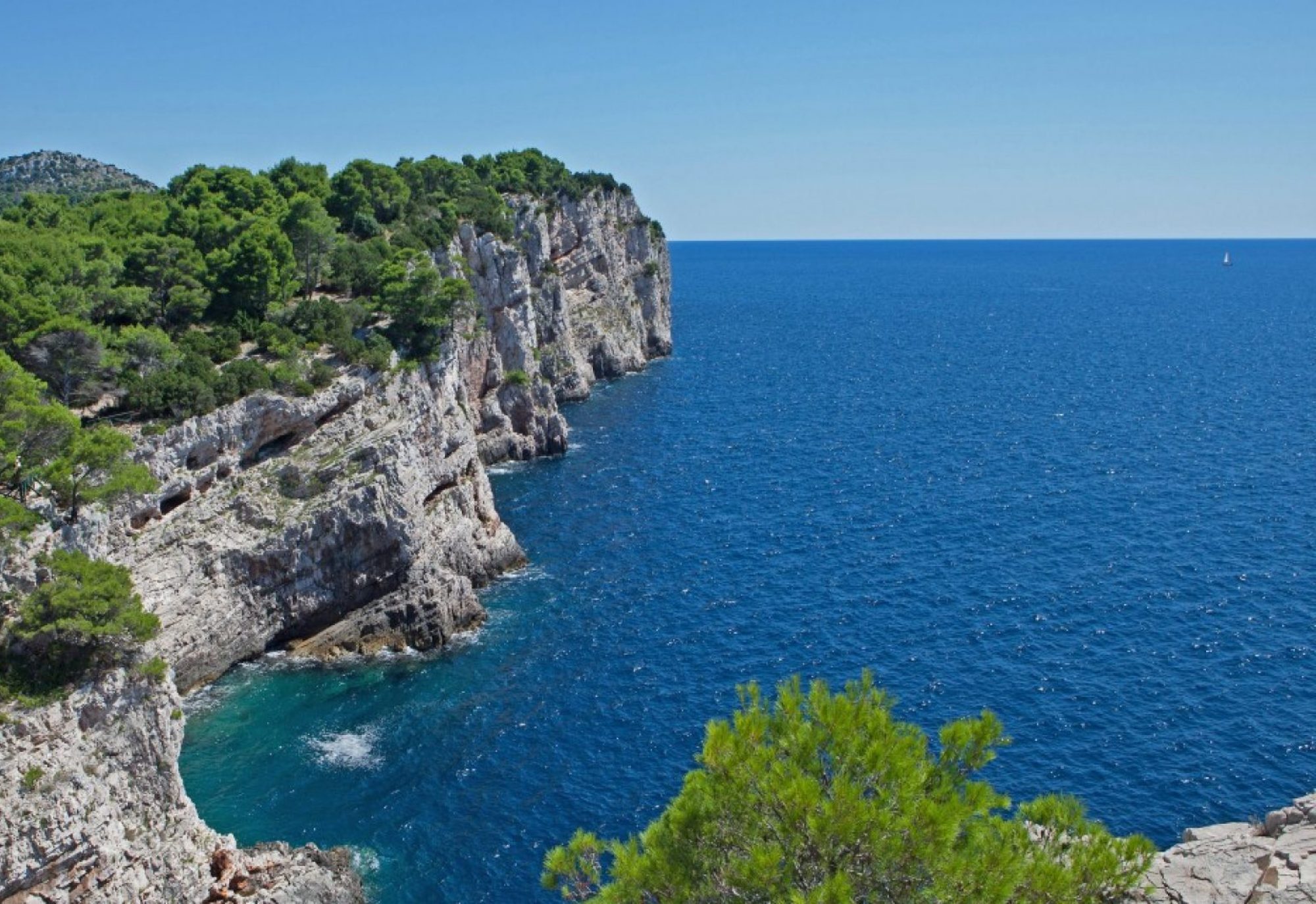 Climate Change and Preservation of Marine Ecosystems of the Adriatic Sea